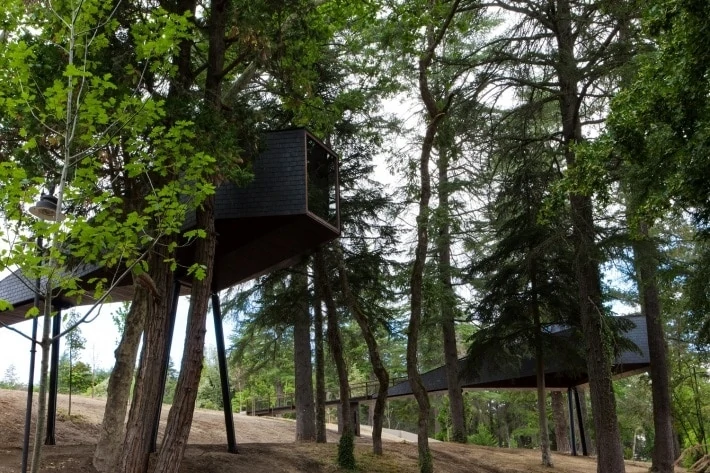 10 Spectacular Treehouse Escapes To Find Solace In