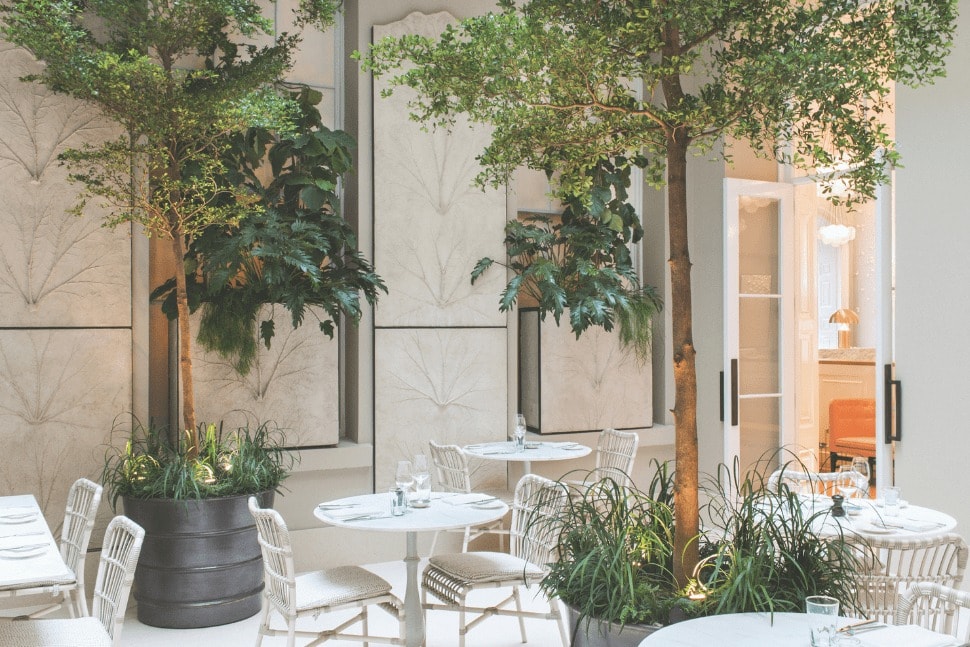 Skye Gyngell On Putting Her Pursuit Of Eco-Dining Into Practice