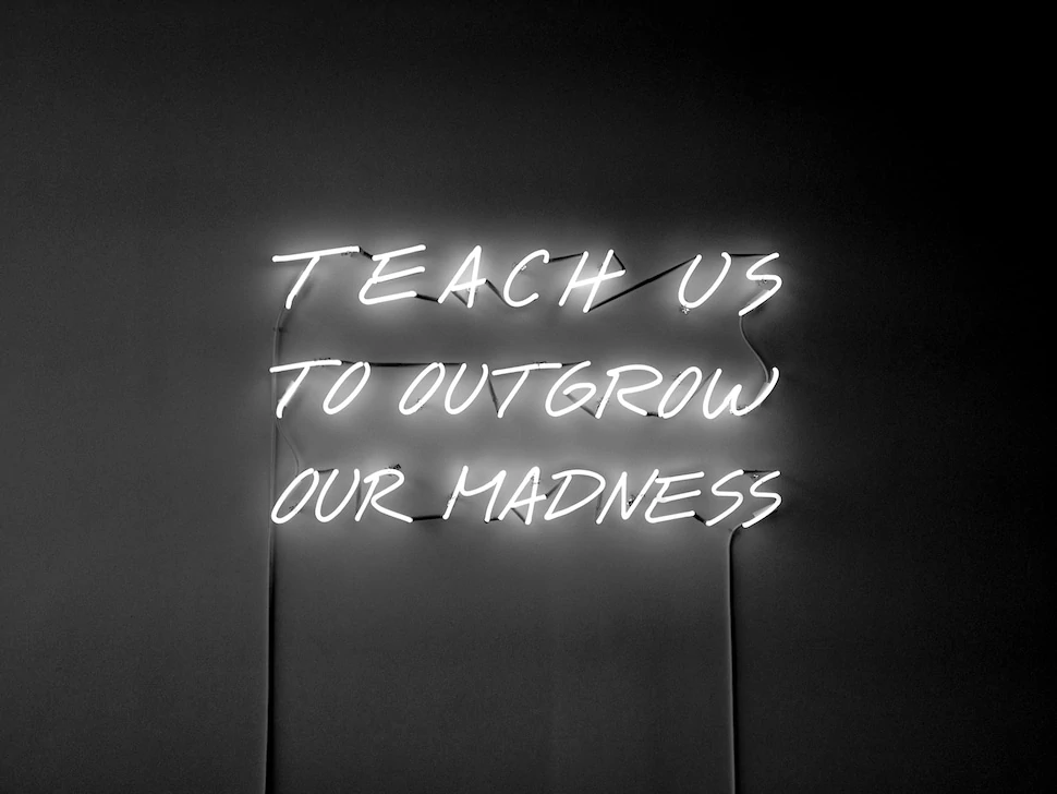 Alfredo Jaar Teach Us To Outgrow Our Madness, 1995, Neon