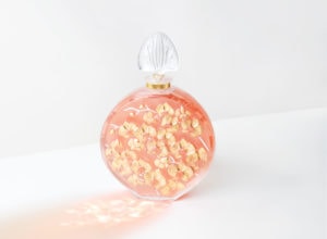 BEAUTY & WELLNESS B21118 2020 Limited Edition Orchidee Crystal
