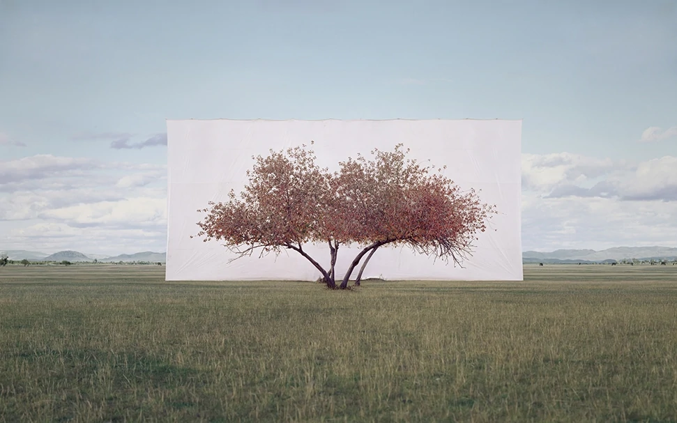 Myoung Ho Lee Tree... #2, 2012 Ink On Paper 104 X 152 Cm © The Artist 2020 Courtesy Myoung Ho Lee And Gallery Hyundai