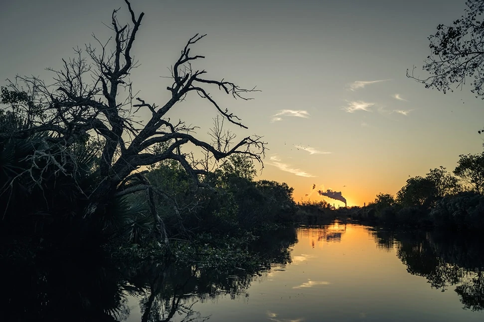 A Photograph Of The Bayou In America For The Smithsonian Channel'S Film Last Call For The Bayou
