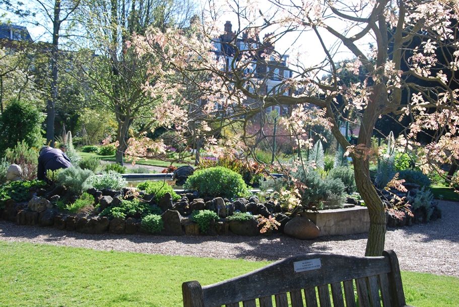 The Best Gardens in London | Secret Gardens | Hidden Gardens