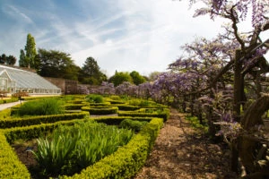 The Best Gardens In London | Secret Gardens | Hidden Gardens