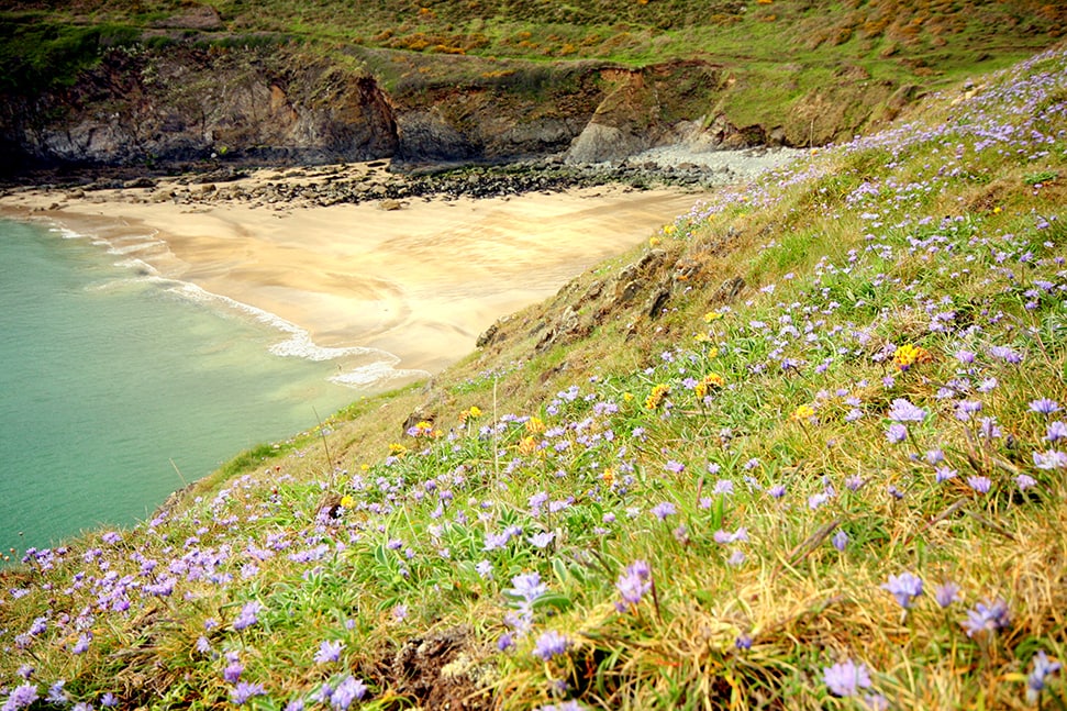 The best beaches in the UK for a spot of wild swimming
