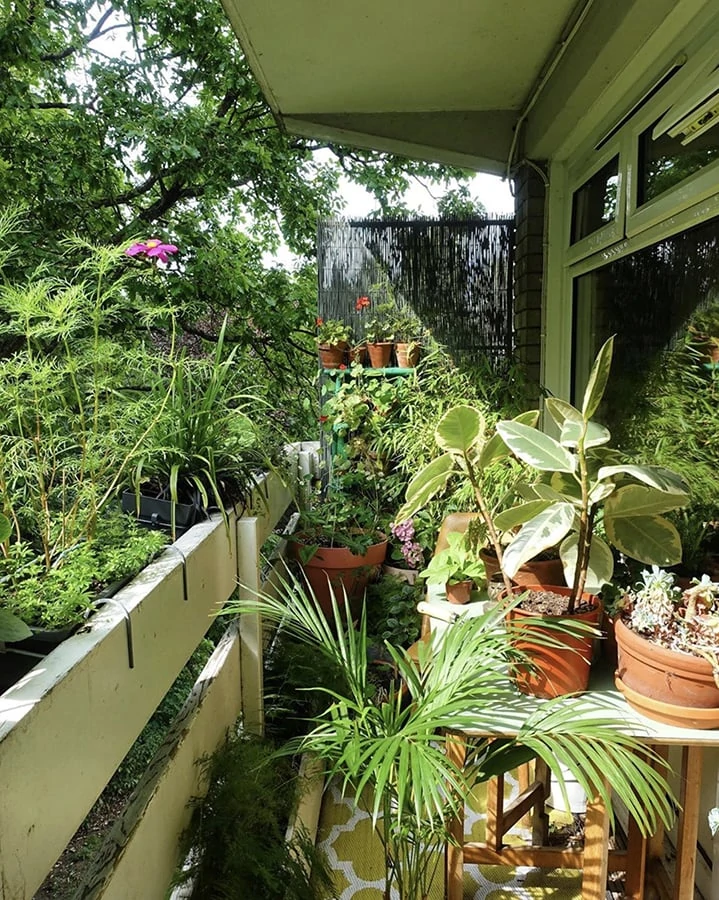 Urban Gardening Expert Alice Vincent Shares Her Top Tips For Reconnecting With Nature