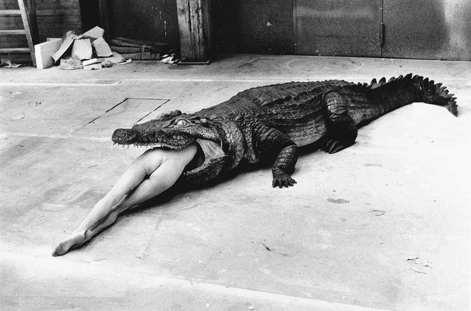 Discover The Bad And The Beautiful: Helmut Newton’s Life In Film