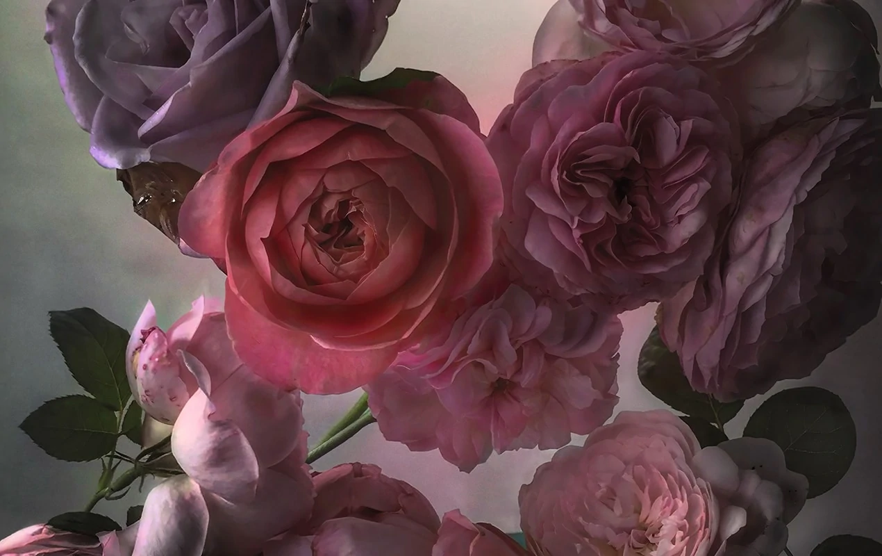 An Exquisite New Book Celebrates Christian Dior’s Passion For All Things Floral
