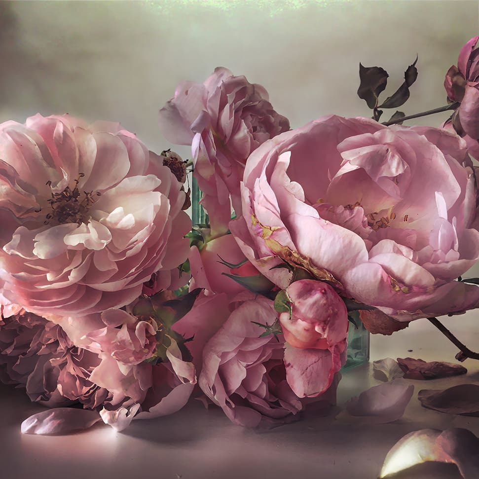 An exquisite new book celebrates Christian Dior’s passion for all things floral
