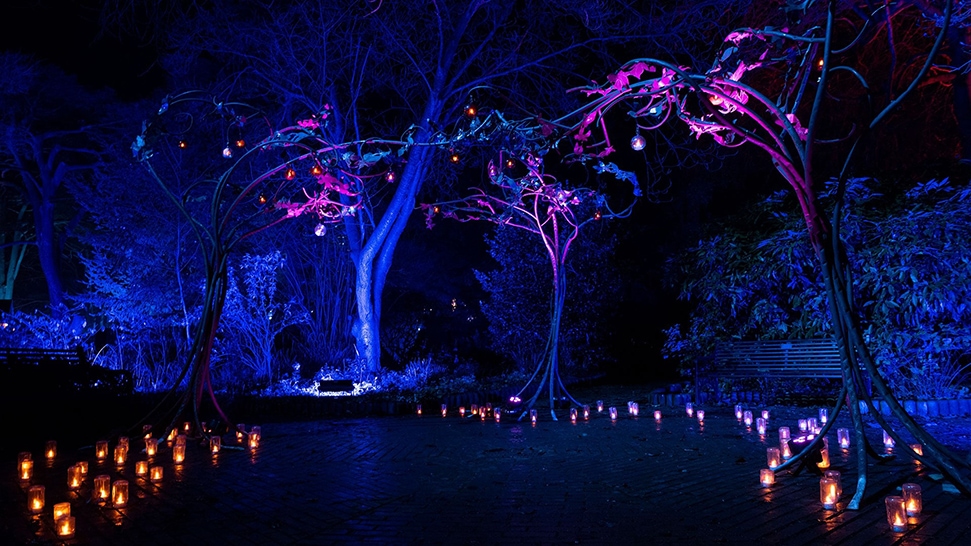 The Prettiest Christmas Light Displays And Trails In London To See This Winter Including Kew, Lightopia At Crystal Palace, Kenwood House, Southbank