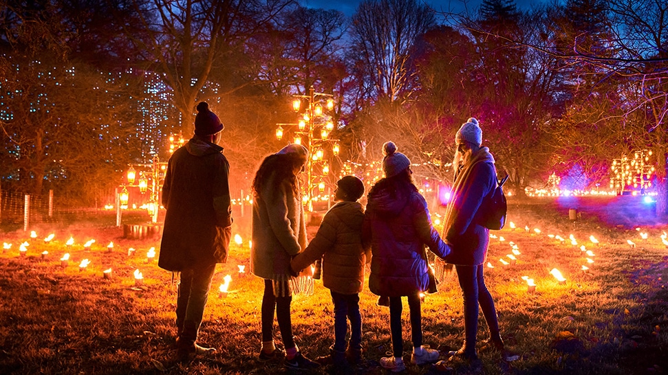 The prettiest Christmas light displays and trails in London to see this winter including Kew, Lightopia at Crystal Palace, Kenwood House, Southbank
