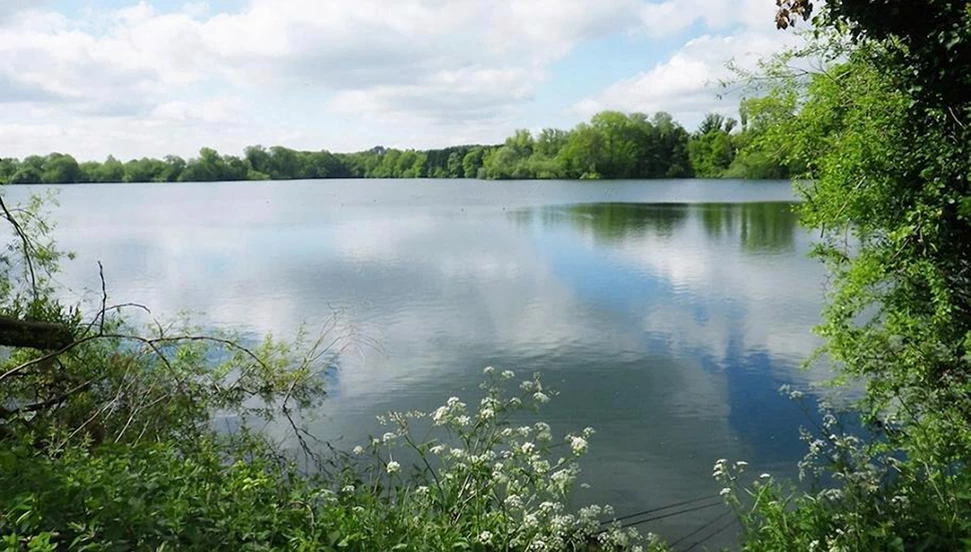 The 8 Dreamiest Wild Swimming Spots In And Around London To Visit This Summer