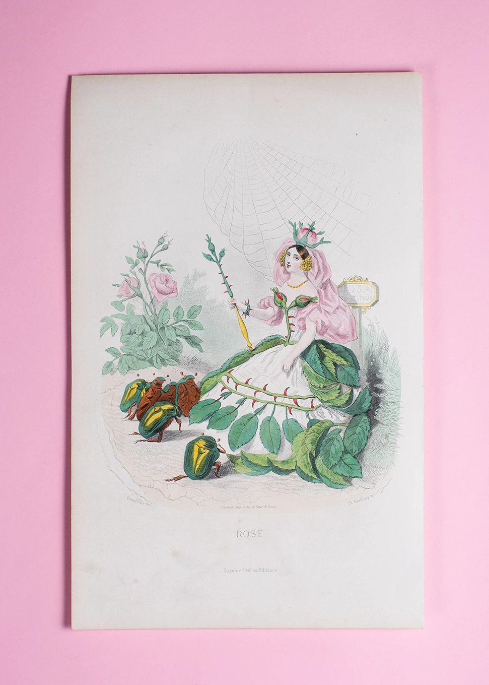 <em>Wild and Cultivated: Fashioning The Rose</em> celebrates fashion’s love affair with roses J J Grandville ‘Rose coloured engraving from Les Fleurs Animées 1847