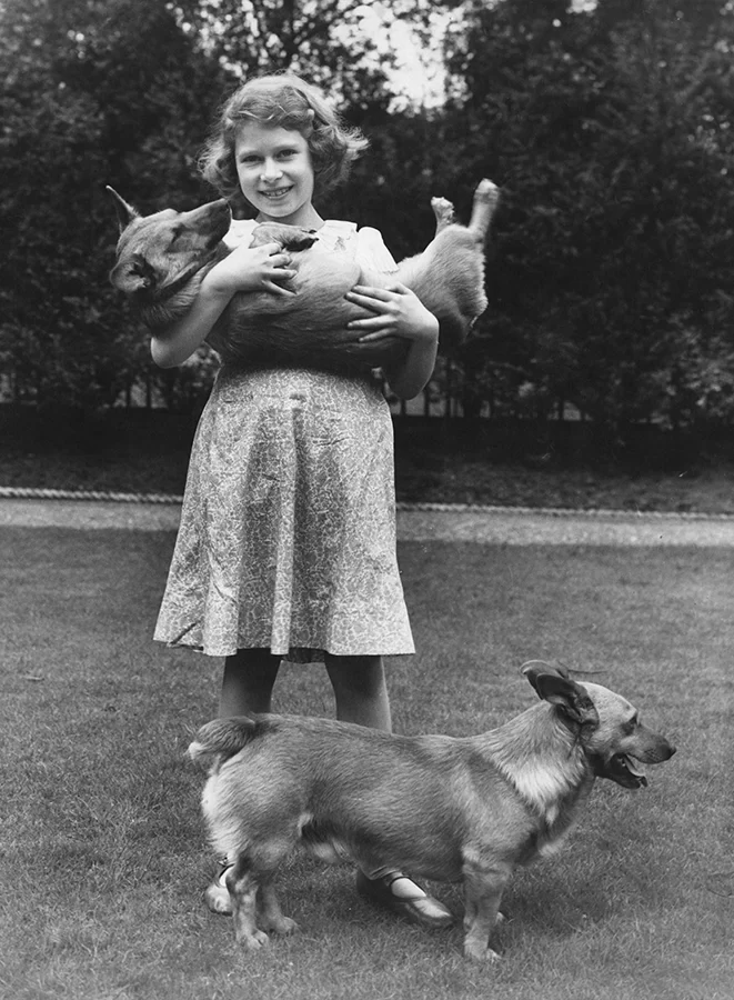 The Queen and her Corgis at The Wallace Collection, London