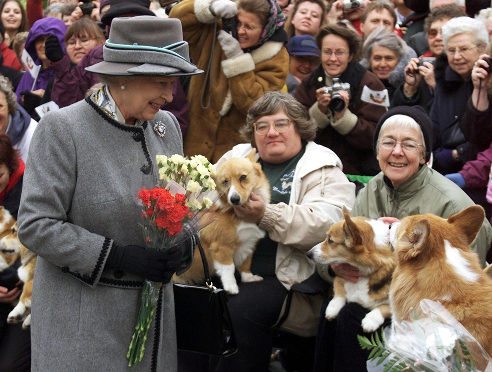 The Queen and her Corgis at The Wallace Collection, London